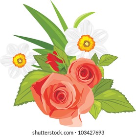 Roses and daffodils. Festive bouquet. Vector