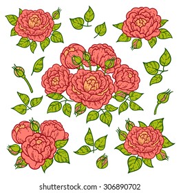 Roses decoration