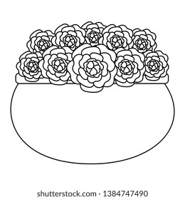 roses decoration in ceramic pot
