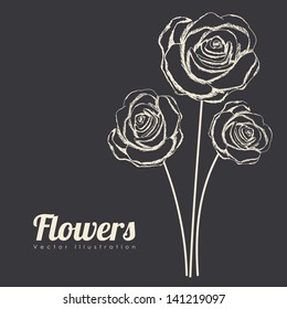 roses design over black background vector illustration