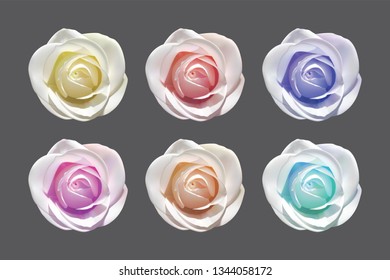 roses of different colors on a dark background vetor