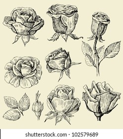 roses doodles set