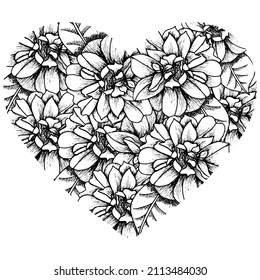 rosas dibujadas sobre un fondo blanco en forma de corazón para colorear, colorear páginas de libros, vector