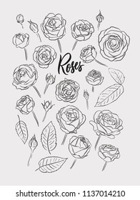 Roses. Elegant hand drawn flowers for your designs. Can be used for bags, t-shirts, planners, posters, cards, notebooks, logo designs, banners, advertisement, etc.