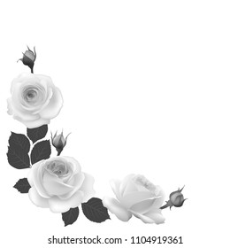 Roses. Floral background. Flowers. Flower pattern. Border. Petals. Buds. Leaves. Bouquet. Black and white. Vector illustration.