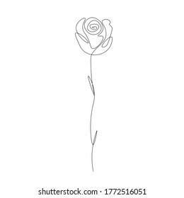 Ilustración vectorial de la línea de fondo de la flor de Rose 