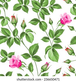 Roses flower background of red fashion rose for your design. Vector illustration.