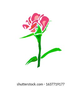 roses flower icon vector illustration