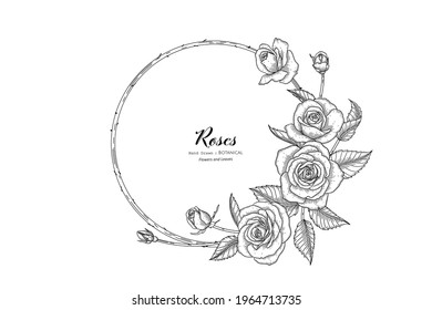 Roses flower and leaf hand drawn botanical illustration with line art.