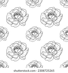 Roses flower line art seamless pattern. Black outline vector botanical art. Modern floral illustration.
