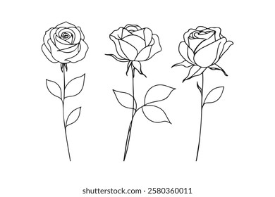 Roses Flower Line Drawing Set. Line Art Floral Design. Abstract Line Drawing of Rose Flowers. Stylized Botanical Vector Illustration