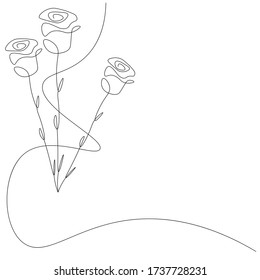Roses flower on white background, vector illustration
