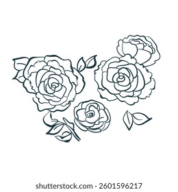 roses flower vector design element isolated hand drawn art line
