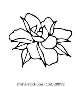 Roses flower vector illustration. Doodle style. Design, print, decor, textile, paper