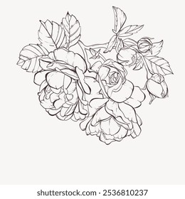 Ramo de flores de rosas de guirnalda de flores de estilo contorno. Etiqueta con flores de peonía. Ilustración vectorial.