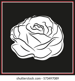 roses, flowers, icon, vector illustration eps10