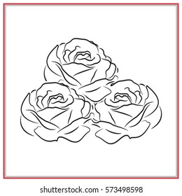 roses, flowers, icon, vector illustration eps10