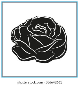 roses, flowers, icon, vector illustration eps10