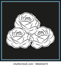 roses, flowers, icon, vector illustration eps10