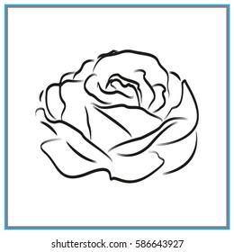 roses, flowers, icon, vector illustration eps10