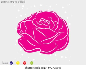roses, flowers, icon, vector illustration eps10