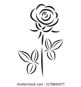 Roses flowers and leaves. Linear simple style. Vector drawing, Black and white illustration