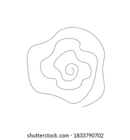 Roses flowers on white background. Vector illustration	