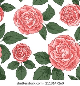 Roses Flowers pink pattern. Vector sketch of flowers. 