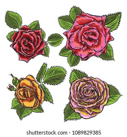 Roses flowers, red head buds and green leaves. Isolated on white background. Set collection. Vector.