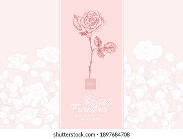 Roses flowers Template for product label, cosmetic packaging, for wedding invitation, greeting card, banner, gift voucher. Easy to edit. Colored vector illustration..