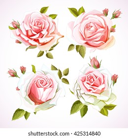 Rosas. Cuatro flores diferentes. Elemento de diseño. Dibujado a mano. Se puede utilizar con fines de diseño. Material vectorial.