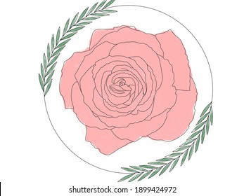 Roses go well with wallpaper or a spring theme like March 8