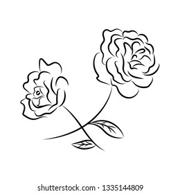 Roses. Graphics. Isolated. Symbol. Logo.