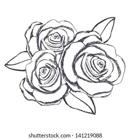 roses graphics over white background vector illustration