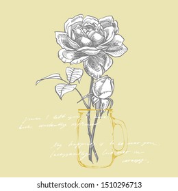 Roses. Hand drawn flower set illustrations. Botanical plant illustration. Handwritten abstract text