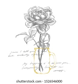 Roses. Hand drawn flower set illustrations. Botanical plant illustration. Handwritten abstract text