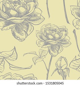 Roses. Hand drawn flower set illustrations. Botanical plant illustration. Vintage medicinal herbs sketch set of ink hand drawn medical herbs and plants sketch. Seamless patterns