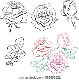 Roses. Hand drawn flower set