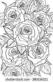 Roses. Hand drawn vector illustration.