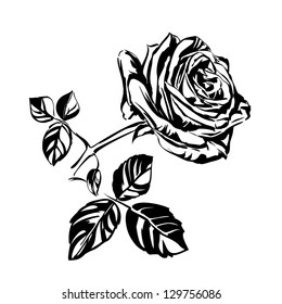 roses hand drawn vector llustration realistic sketch