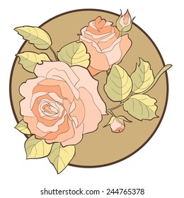 Roses . Hand-drawing . Vector illustration 2