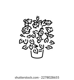 Roses houseplant black line icon. Indoor decorative plant. Pictogram for web page, mobile app, promo.