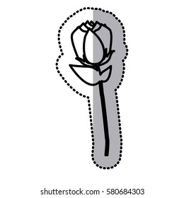 roses icon stock image, vector illustration design