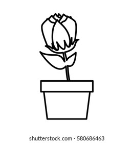 roses icon stock image, vector illustration design