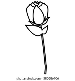 roses icon stock image, vector illustration design