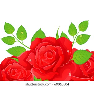 Roses illustration