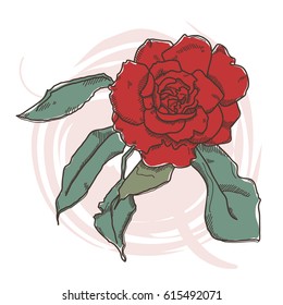 Roses Illustration,Outline flower are element for design.