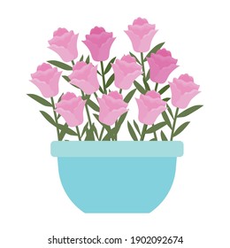 roses inside a pot with blue color vector illustration design