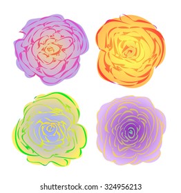 Roses isolated on white, Vector illustration