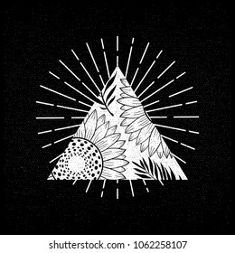 Roses with leafs on triangle with line shine effect illustration